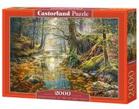 Castorland Reminiscence of the Autumn Forest 2000 pièces Puzzle