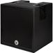 Warwick Gnome Pro CAB 8 Ohm 2 x 10 inch 300W Bass Guitar Speaker Cabinet