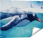 Gards Poster de pingouin nageant dans l'eau - 80x60 cm - Toile de jardin - Décoration de jardin - Décoration murale extérieure - Peinture de jardin
