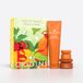 Origins Holiday Peeling mécanique 1 pièce
