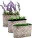 Arte r Plantenpot/bloempot teil - 3x - zink - bruin - L22,5 x D11,5 x H12 cm
