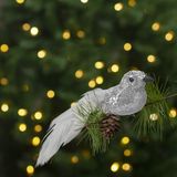 Family Pound HomeShopXL Kerstversiering - clip - glittervogel - zilver - 2 stuks / verpakking 1 Stuks [58643C]