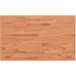 Hêtre Plateau de table 100x60x1,5cm Rectangulaire Bois massif