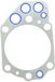 Elring 893.463 Pakking, cilinderkop