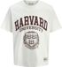 JACK&JONES JORHARVARD TEE SS C.N STYD SS25 Hommes T-shirts M Coupe ample Coton Egret