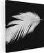 Artaza Canvas Schilderij Witte Veer op Zwarte Achtergrond - 70x70 cm - Canvas Print