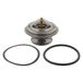 febi bilstein 18017 thermostaat met O-ring en afdichting, 1 stuk