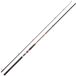 Daiwa Megaforce Big Fish Meervalhengel Zilver 2.90 m / 100-300 g