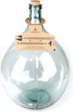 Flessentuin Bol Terrarium fles 55 liter set - Inclusief terrarium gereedschapset