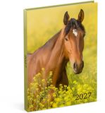 Lannoo Paarden Desk Agenda 2027