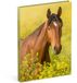 Lannoo Paarden Desk Agenda 2027