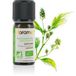 Florame Huile Essentielle Ravintsara 10ml