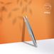 Staleks Pro Expert 10 Type 4 - Pincet - Zilver