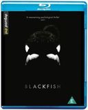 Blackfish