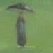 Sol Invictus - In The Rain