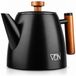 VDN Theepot Inox Dubbelwandig met Filtre - Noir - 1 Litre