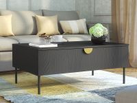 MONDIE table basse 1 porte battante graphite