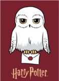 Harry Potter Fleece deken - Plaid - Hedwig - 100 x 140 cm - Polyester