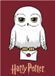 Harry Potter Fleece deken - Plaid - Hedwig - 100 x 140 cm - Polyester