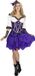 Wilbers Pirate Purple paars