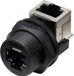Tru Components TC-E13T-FR6-PRF-90 RJ45-bus naar bus (90°) aan de achterkant gemonteerde bus IP67 (met schroefdraad) TC-13543660