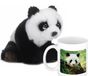 WNF International Bon Ton Toys Panda Cadeauset kind - Panda knuffel 15 cm en foto Drinkbeker 300ml