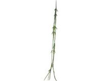 Erutan avon Cactus Lia hanger green 107 cm (S) kunstbloem