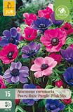 Jub Anemone cor. Paars-roze Mix bloembol JUB 15 stuks