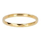 iXXXi Hammerite - Vulring 2 mm Gold / Maat 63
