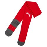 teamLIGA26 Puma TeamLiga26 Core Sokken