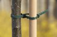 Nature Ubbink Garden BV Universele bindband met rattenstaartsluting groen 23cm set a 30 stuks
