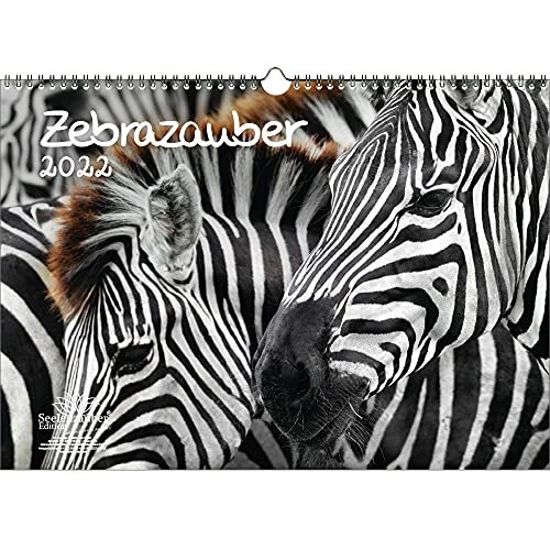 Seelenzauber Zebrazauber DIN A3 kalender voor 2022 Zebra - zielenzauber