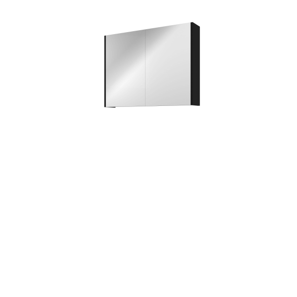 Proline Spiegelkast Comfort met spiegel op plaat aan binnenzijde 2 deuren 80x14x60cm Mat zwart 1808606