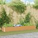 Maison Exclusive - Jardinière surélevée, couleur marron clair, dimensions 290 x 50 x 36 cm, en acier galvanisé