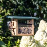 Cj wildbird CJ Wildlife Vogelvoederhuisje - Eindhoven - Hout - Groen - Hangend