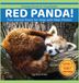 Red Dylanna Press Red Panda!: Fun Animal Facts for Kids with Real Photos