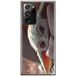 ERT GROUP mobiel telefoonhoesje voor Samsung GALAXY NOTE 20 ULTRA origineel en officieel erkend Star Wars patroon Baby Yoda 021
