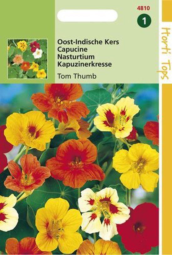 Hortitops Zaden - Tropaeolum Tom Thumb enkelbl.gem.laag