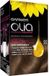 GARNIER Olia Kleur nr. 6.0 Zeer Lichtbruin