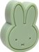 Atelier Pierre Miffy Care all-in-1 zeep Eucalyptus