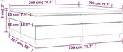 vidaXL Boxspringbed met matras, fluweel, zwart, 200x200 cm