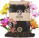 Sybotanica SYBASoil Orchideeën Potgrond 5L