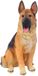 OEM Hars Hondenbeeld - Tuindecoratie Hond - Balkon Decoratie - Levensgetrouw Design - 15x29 cm