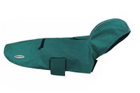 Record - Honden regenjas Diran opvouwbaar met capuchon, winddicht, groen, 4XL