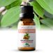Zenful Kaneelblad olie - 100% Puur - Biologische etherische olie - Natuurlijk - Kaneel - Blad - Aromatherapie - 10 ml