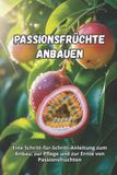 Passionsfrüchte Bol Passionsfrüchte anbauen