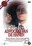 Advocaat V/D Hanen / Advocaat / 15 / 2023