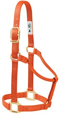 Weaver Leather Original Non-Adjustable Nylon Horse Halter, Average, Orange
