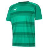 Puma Teamvision Shirt Korte Mouw Heren - Groen