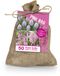 Bloomique - The Pink Bag - Roze Mix - 50 Bloembollen - Tulpen, Hyacinten, Allium
